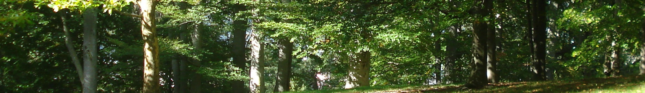 Schützenverein 1971 Tiefenbach e.V.